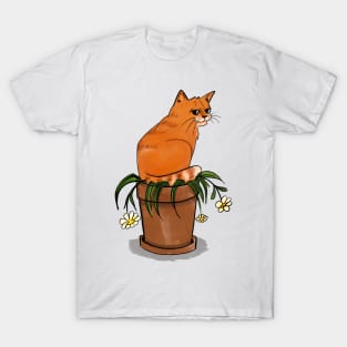 Tabby cat on the Flower pot T-Shirt
